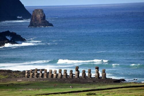 DSC 0990 (1) (1) (1) (1)