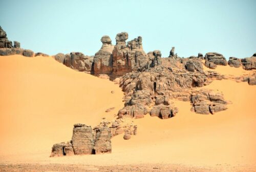 DSC 0990 (1) (1) (1) (1) (1)