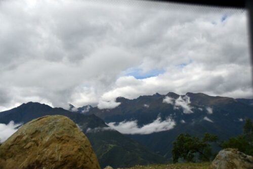 DSC 0991 (1)
