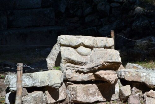 DSC 0991 (1) (1) (1)