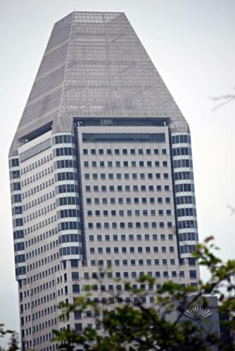 DSC 1000